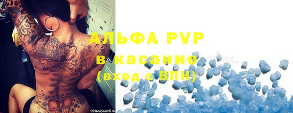 стафф Волоколамск