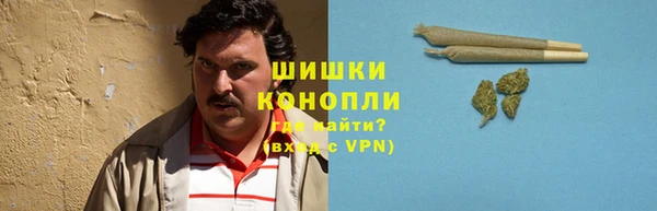 стафф Волоколамск