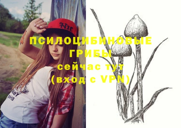 стафф Волоколамск